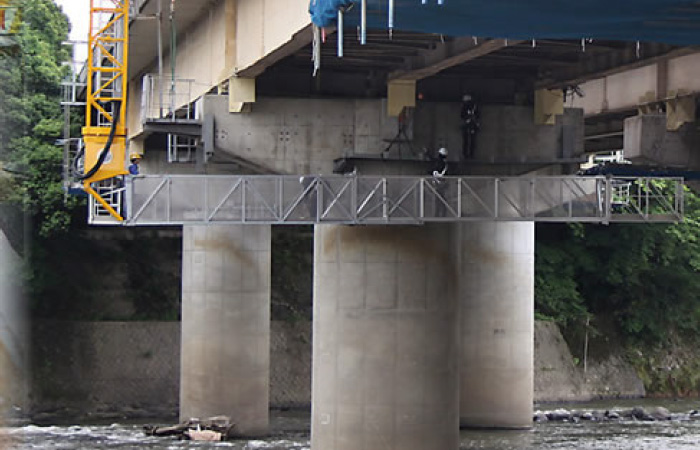 Bridge check